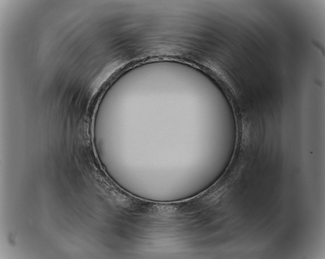 X0000103420878200809191635