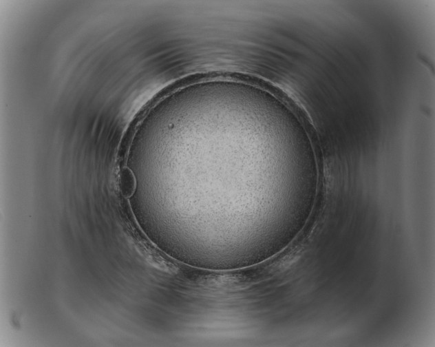 X0000103420879200809191635