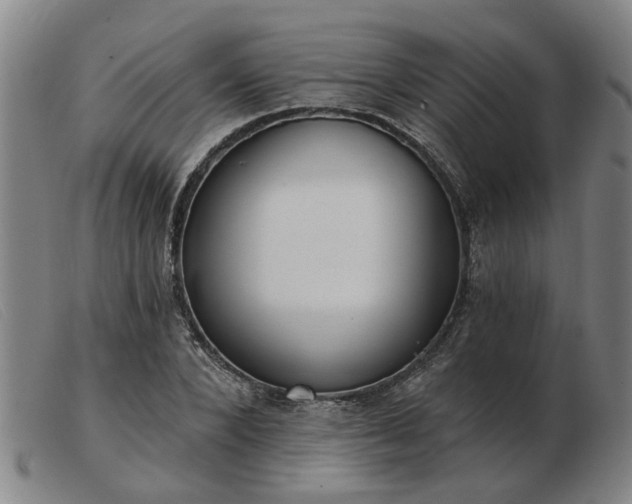 X0000103420880200809191635