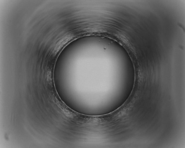 X0000103420881200809191635