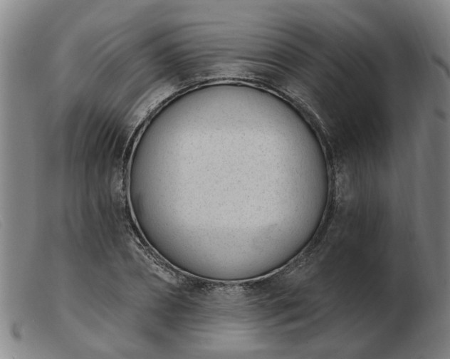 X0000103420882200809191635