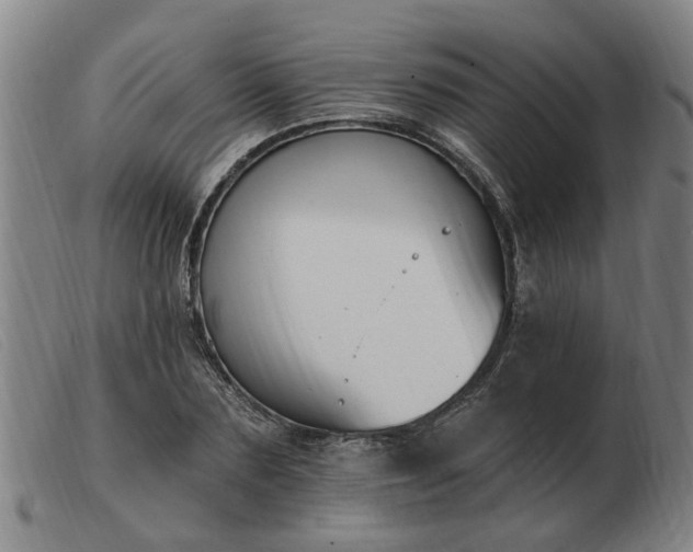 X0000103420883200809191635