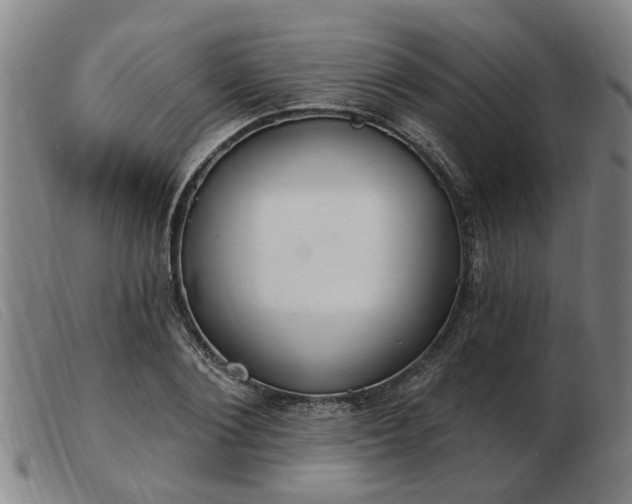 X0000103420884200809191634