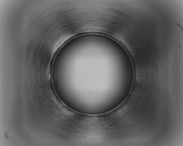 X0000103420885200809191634