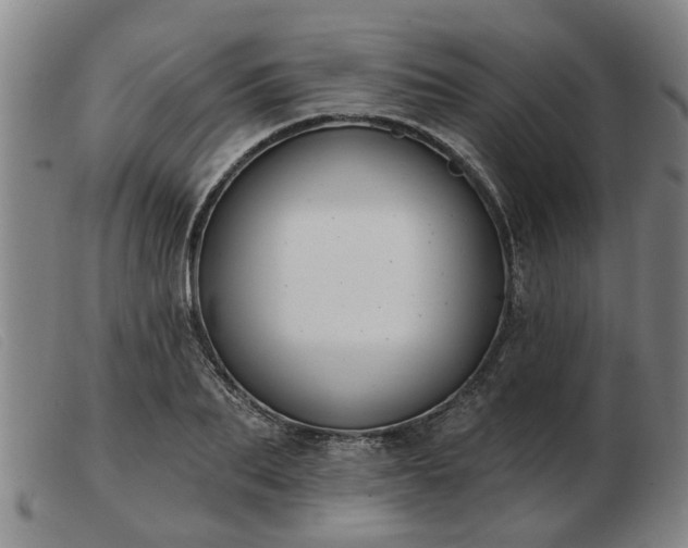 X0000103420887200809191634