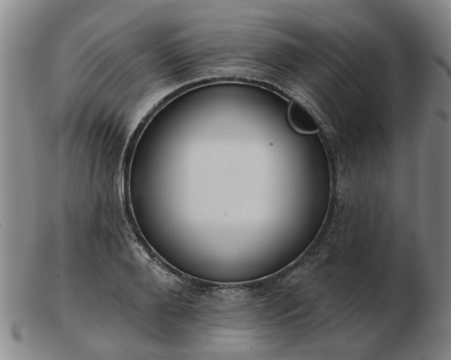 X0000103420888200809191634