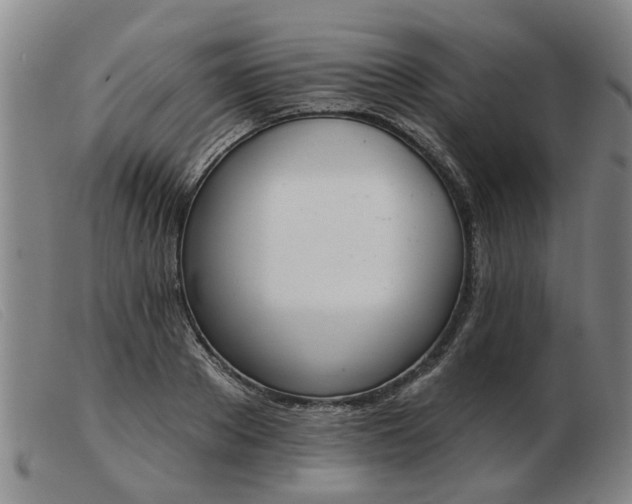 X0000103420889200809191634