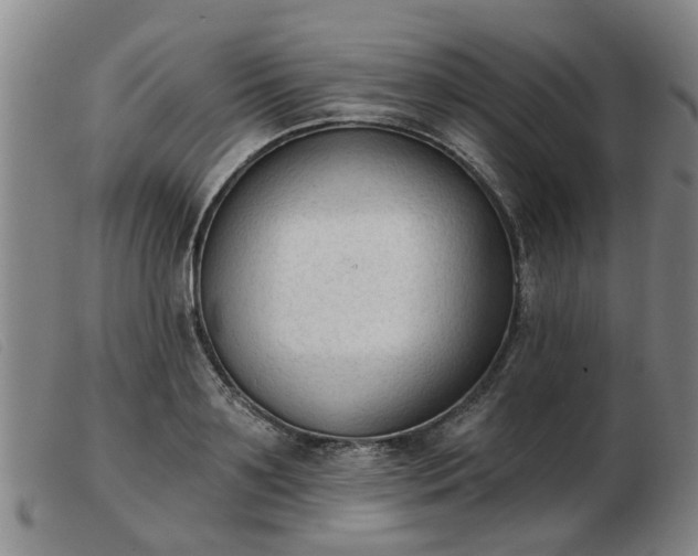 X0000103420891200809191634