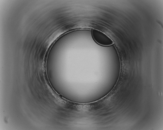 X0000103420893200809191634