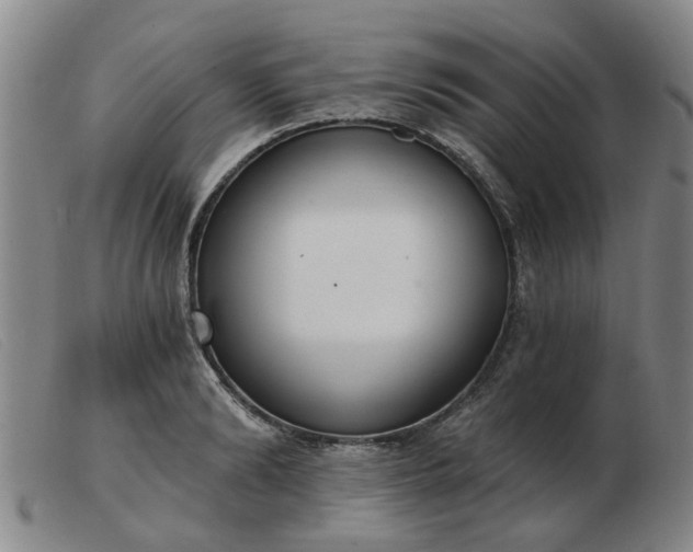 X0000103420894200809191634