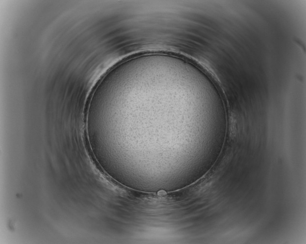 X0000103420895200809191634