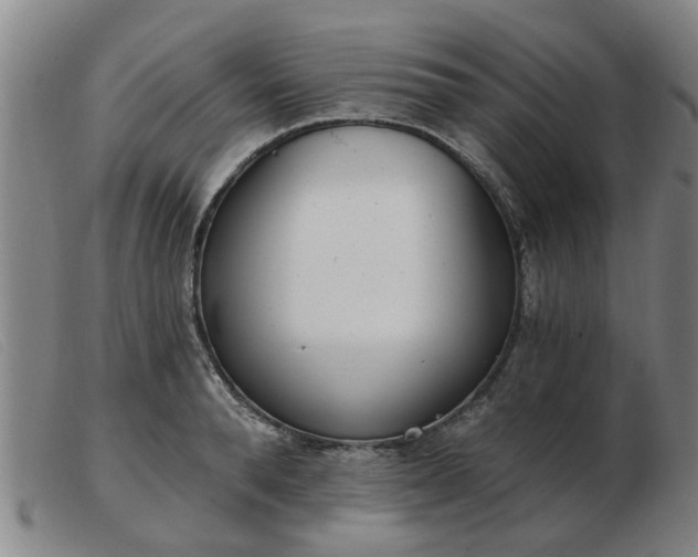 X0000103420896200809191634