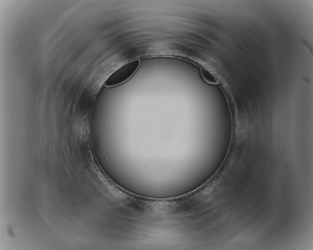 X0000103420897200809191634