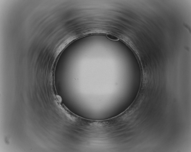 X0000103420898200809191634