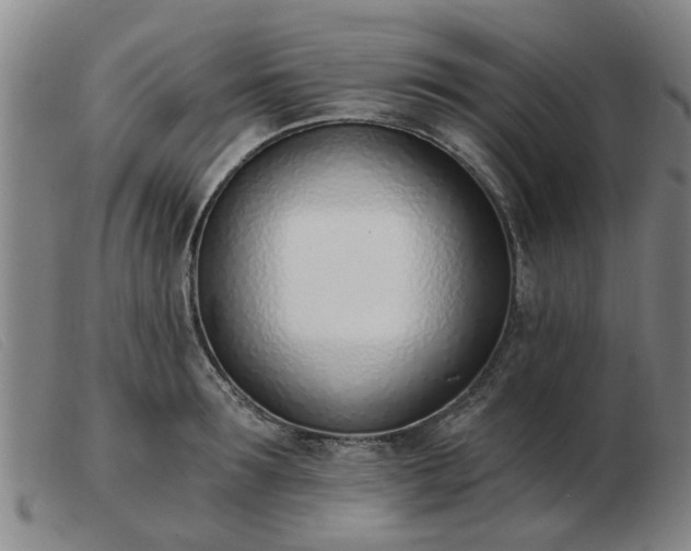 X0000103420899200809191634