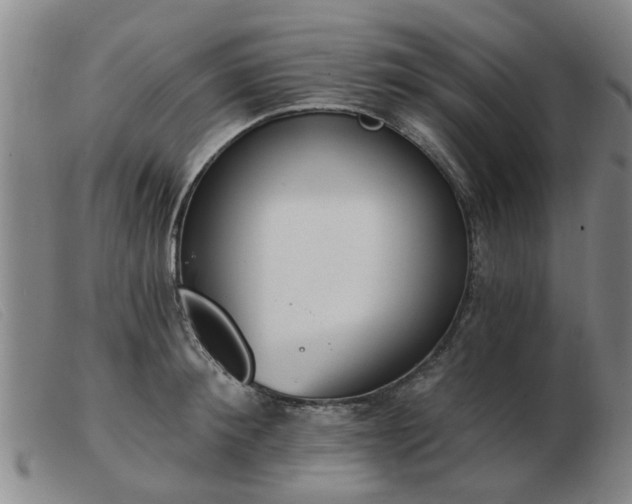 X0000103420900200809191634
