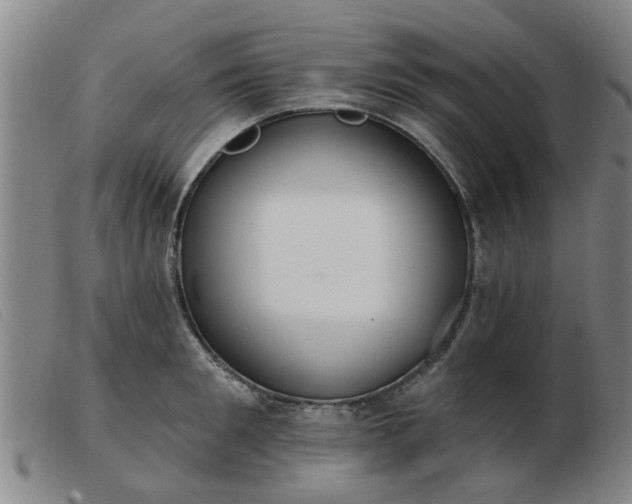 X0000103420901200809191634