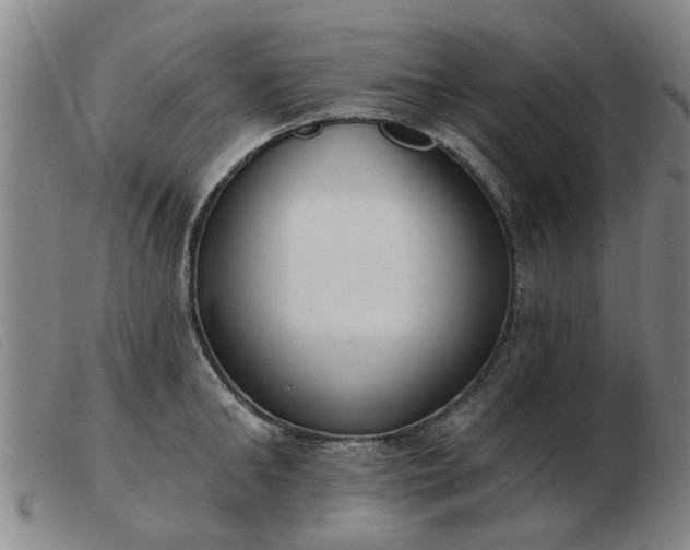 X0000103420902200809191634