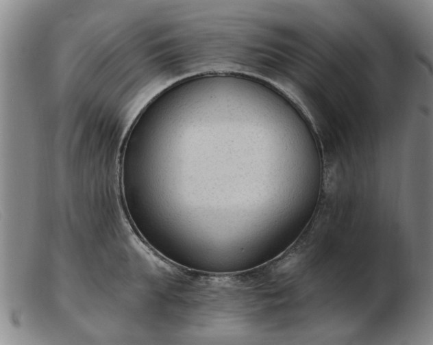 X0000103420903200809191634