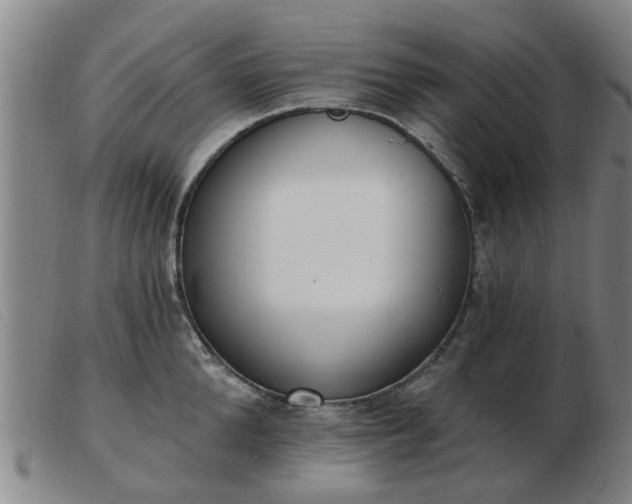 X0000103420904200809191634