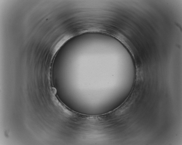 X0000103420906200809191634