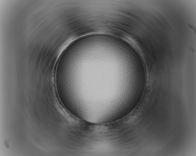 X0000103420907200809191634