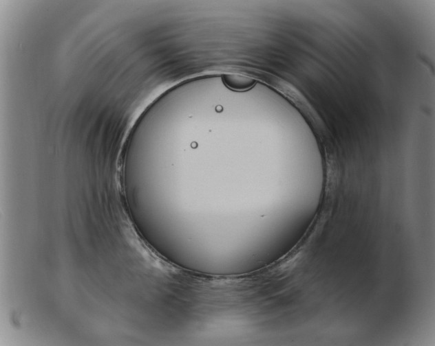 X0000103420908200809191634