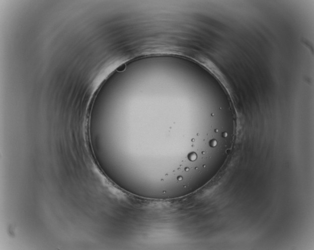 X0000103420909200809191634
