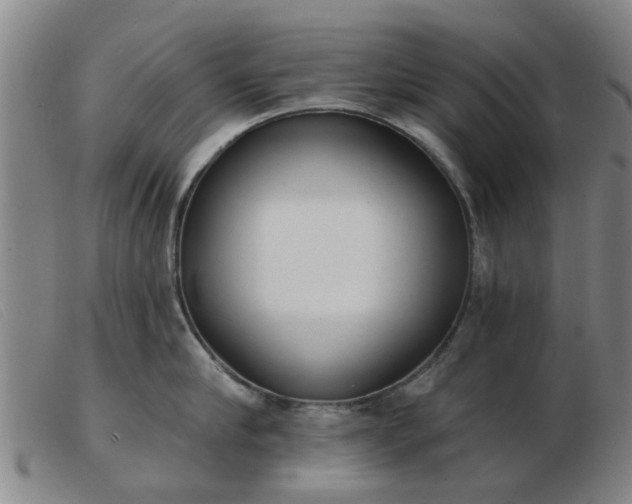 X0000103420910200809191634