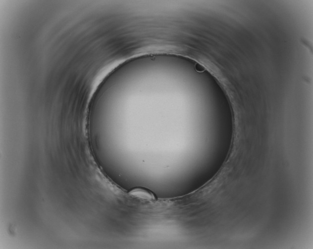 X0000103420912200809191634