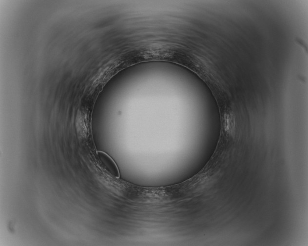 X0000103420915200809191633