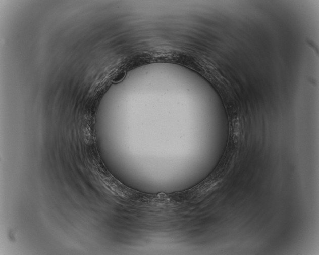 X0000103420916200809191633