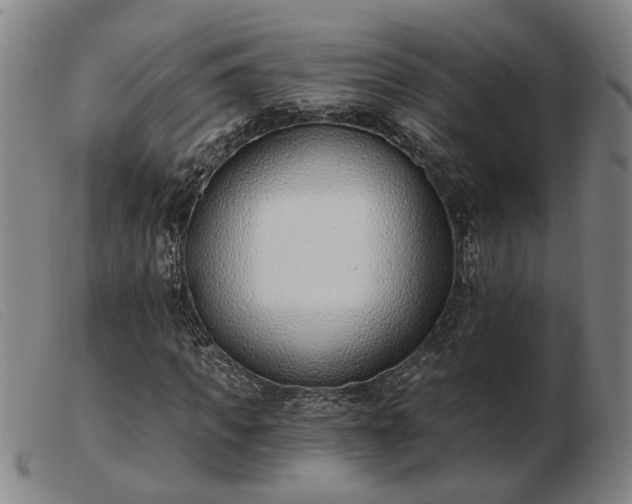 X0000103420917200809191633
