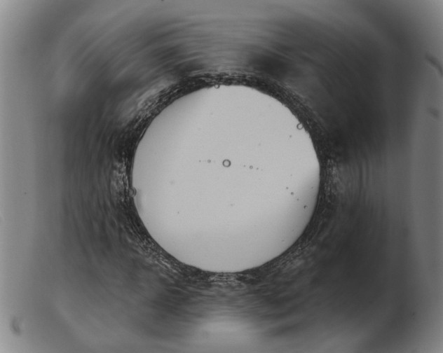 X0000103420918200809191633
