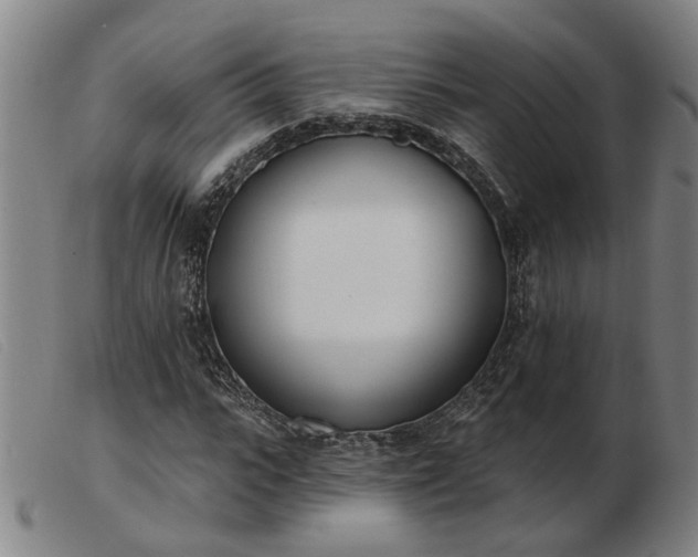 X0000103420919200809191634
