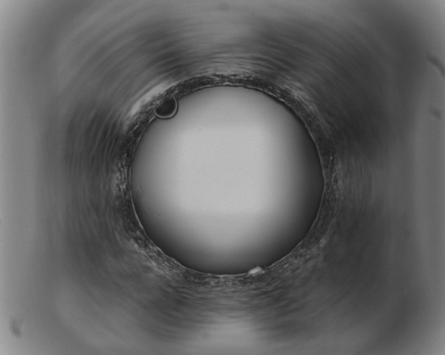 X0000103420920200809191634