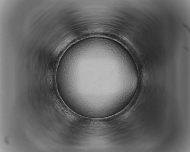 X0000103420921200809191634