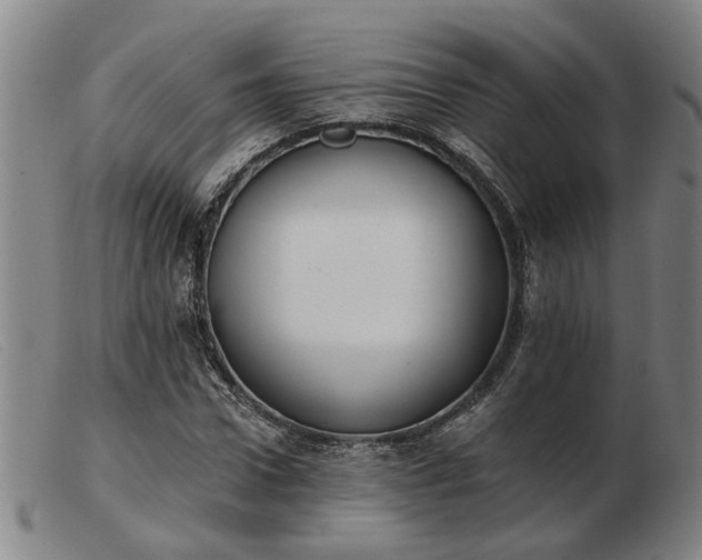 X0000103420922200809191634