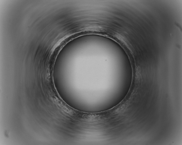 X0000103420923200809191634
