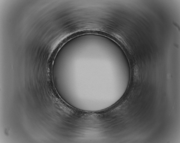 X0000103420926200809191634