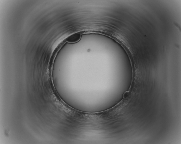 X0000103420928200809191634