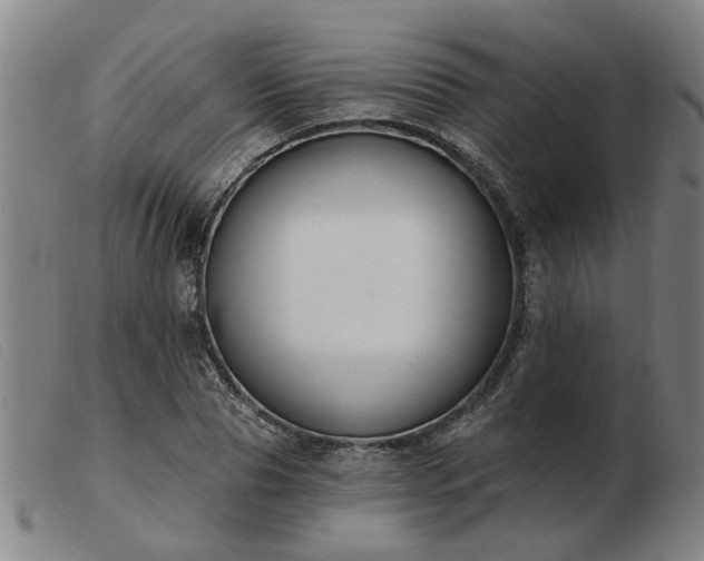 X0000103420929200809191634