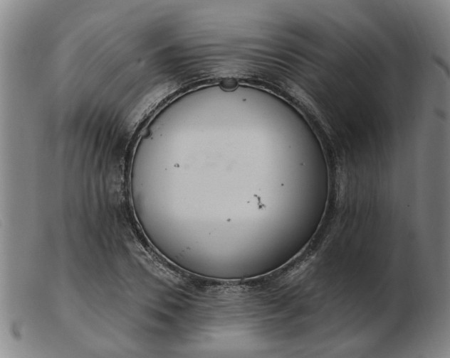 X0000103420930200809191634