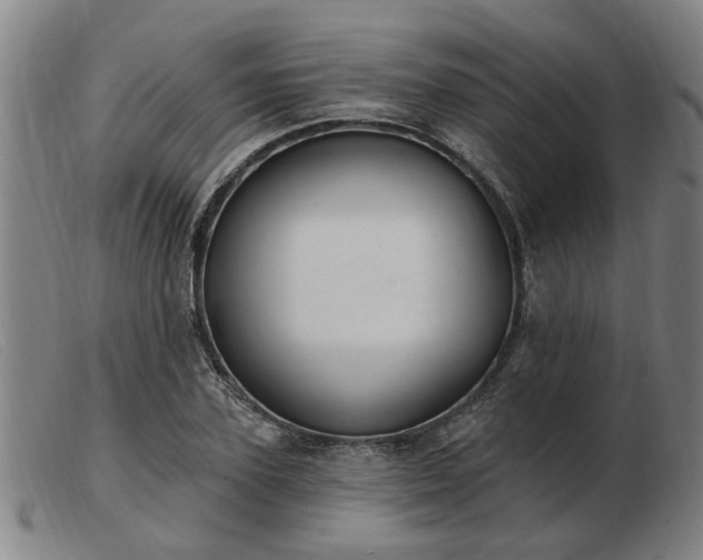 X0000103420931200809191634