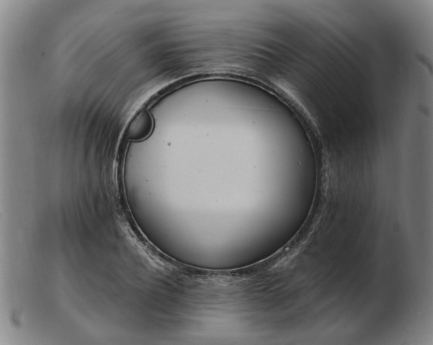 X0000103420932200809191634