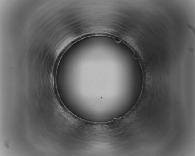 X0000103420936200809191634