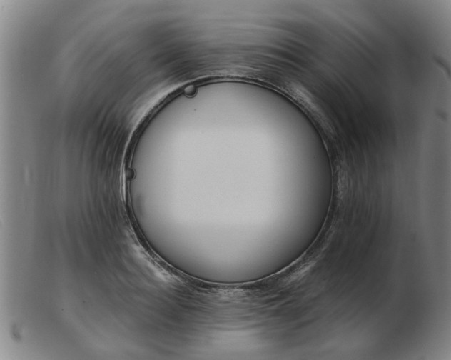 X0000103420940200809191634
