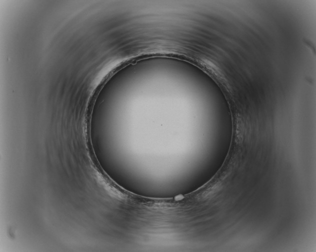 X0000103420942200809191634