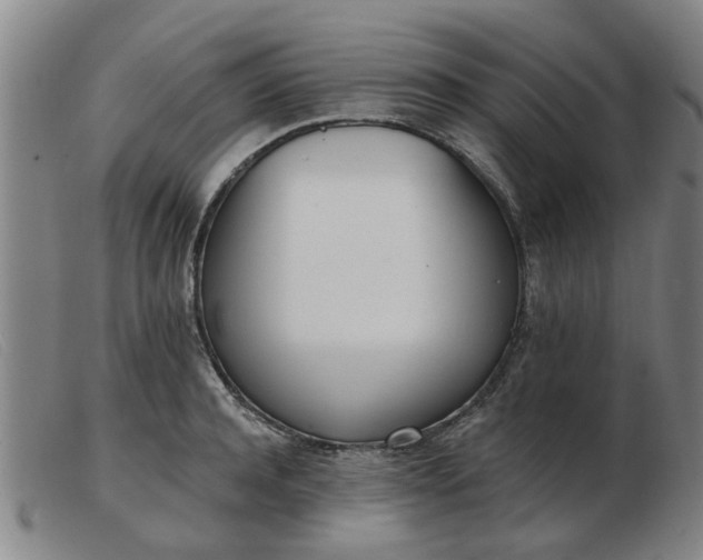 X0000103420944200809191634