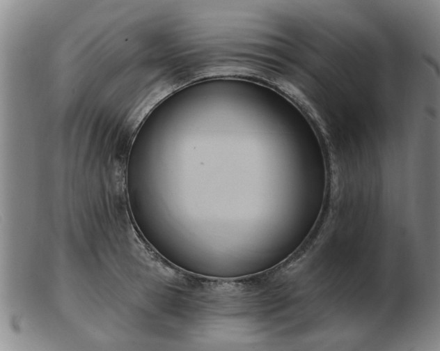 X0000103420945200809191634